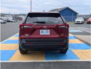 2020 Toyota RAV4 XLE 4dr All-Wheel Drive  - Photo 4 of 18