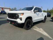 2025 CHVROLET SILVERADO 1500 CREW CAB TRAIL BOSS 5.3 46K - Photo 12 of 13