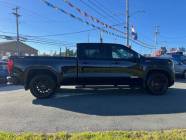 2025 GMC SIERRA 1500 CREW ELEVATION LOADED 4 K W SUNROOF - Photo 5 of 14