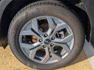 2025 Kia Seltos LX 4dr All-Wheel Drive  - Photo 6 of 18