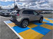 2019 Jeep Cherokee Trailhawk 4dr 4x4  - Photo 3 of 17