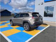 2019 Jeep Cherokee Trailhawk 4dr 4x4  - Photo 5 of 17