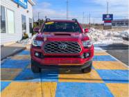 2023 Toyota Tacoma TRD Sport V6  - Photo 1 of 19