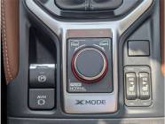 2022 Subaru Forester Premier 4dr All-Wheel Drive  - Photo 17 of 21