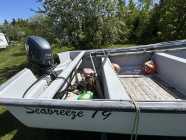 Boat, engine and trailer 