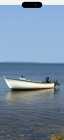Boat & Motor - Photo 1 of 7