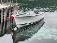 Sea Serpent Boat, Motor And Trailer For Sale