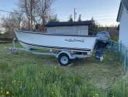 Sea Serpent Boat, Motor And Trailer For Sale - Photo 3 of 6