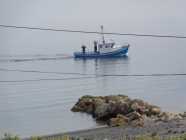 Boat for sale ready for water  - Photo 1 of 9