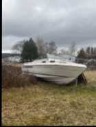 Boats for sale