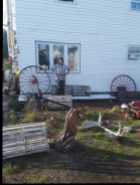 AT BONAVISTA: Chainsaw carved table one of a kind  - Photo 2 of 4