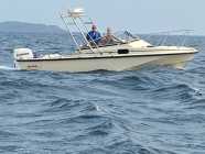 Boston Whaler  - Photo 2 of 3