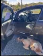 Buick Verano 2013 - Photo 1 of 7