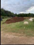 NL Bulk Mulch - Photo 1 of 2