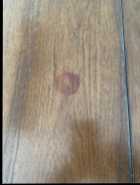 Butterfly Dining Table - Photo 5 of 6