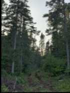 Cabin for Sale, Buchans nl - Photo 10 of 16