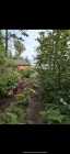 Cabin for Sale, Buchans nl - Photo 15 of 16