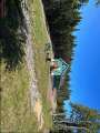 Cabin for Sale - New Bay Lake - Central