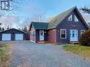 Cabin in town of Terra Nova