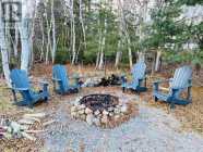 Cabin in town of Terra Nova - Photo 2 of 5