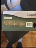 Cambrian Walking Shoes