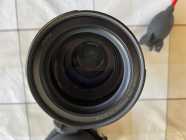 Canon RF 800mm f11 IS STM - Photo 5 of 13