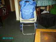 CARY CART