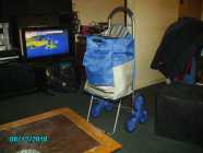 CARY CART - Photo 1 of 2