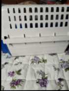 Cat kennel - Photo 1 of 4