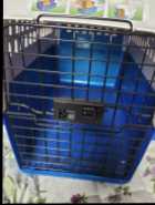 Cat kennel - Photo 2 of 4