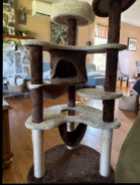 Cat tree