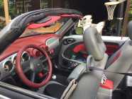 Convertible  - Photo 6 of 10