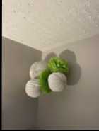 Coverlet plus accessory - Photo 1 of 3