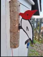 Craft - Photo 1 of 2