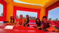 Day Camp - Bug Safari