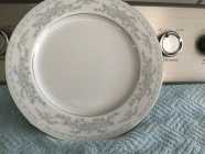  DINNER PLATES