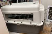 Dog Crate - Photo 2 of 4