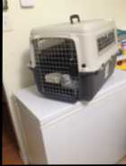 Lg. Dog Kennel $60