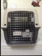 Lg. Dog Kennel $60 - Photo 5 of 6
