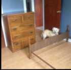 Double 6 piece Bedroom Set $540.00 - Photo 1 of 6