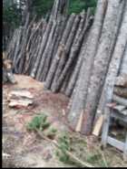 Dry Furnace Wood For Sale - Photo 2 of 4
