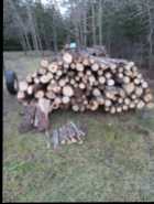 Dry Furnace Wood For Sale - Photo 3 of 4