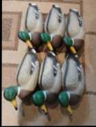 Duck Decoys