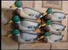 Duck Decoys