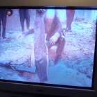 [DVD] Hot Shots! Part Deux - Photo 5 of 7