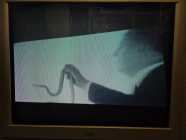 [DVD] Psychopathic: The Videos - Photo 5 of 10