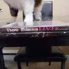 [DVD] Yngwie Malmsteen - Live In Budokan - Photo 3 of 6