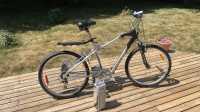 Electric bike