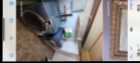 Excellent business and or pleasure property in Por - Photo 3 of 14
