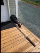 Excellent Condition - Photo 1 of 2
